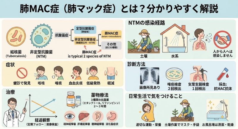 🦠非定型抗酸菌症、肺MAC症とは？結核との違いや症状・診断・治療について🦠のアイキャッチ画像